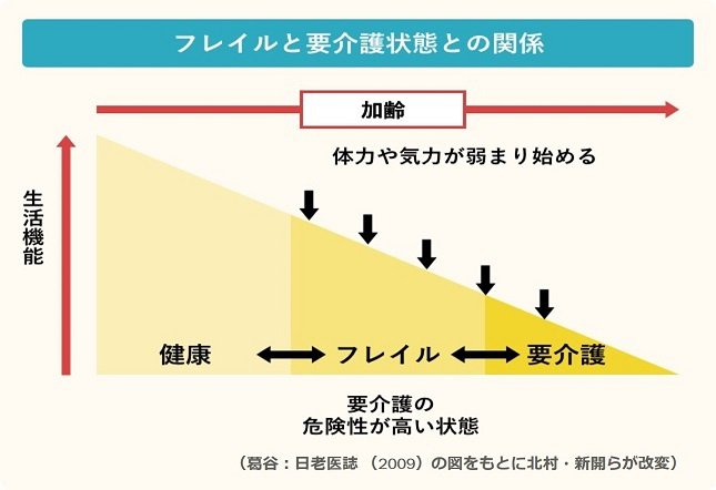 フレイルと要介護状態、健康余命との関係/加齢が進むと体力や気力が弱まり始める。生活機能も低下することで、健康からフレイル、フレイルから要介護の危険性が高い状態が進む(葛谷:日老医誌(2009)の図をもとに北村・新開らが改変)