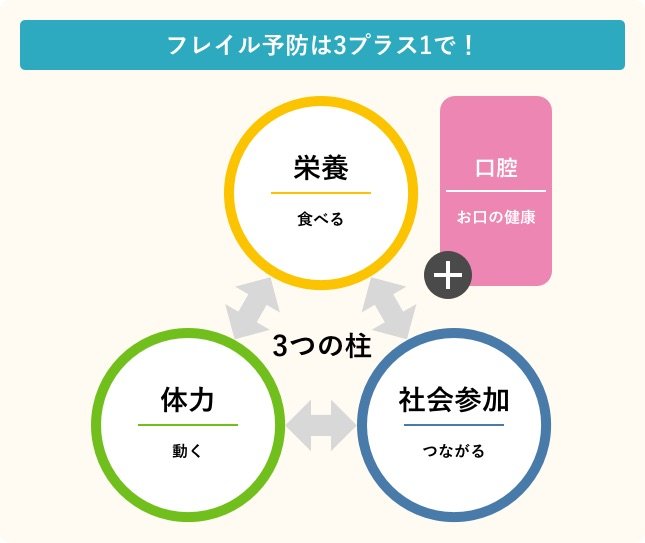 フレイルの予防は3プラス1で!/3つの柱:栄養(食べる)・体力(動く)・社会参加(つながる)、プラス1:口腔(お口の健康)