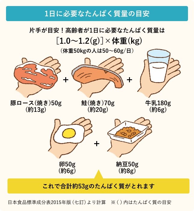 1日に必要なたんぱく質量の目安／片手が目安！高齢者が1日に必要なたんぱく質量は［1.0から1.2グラム］×体重（キログラム）（体重50キログラムの人は、一日50から60グラム）／豚ロース（焼き）50グラム（約13グラム）＋鮭（焼き）70グラム（約20グラム）＋牛乳180グラム（約6グラム）＋卵50グラム（約6グラム）＋納豆50グラム（約8グラム）、これで合計約53グラムのたんぱく質がとれます／日本食品標準成分表2015年版（七訂）より計算。（）内はたんぱく質の目安