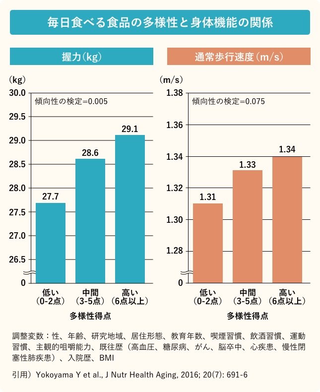 毎日食べる食品の多様性と身体機能の関係/握力(多様性得点):低い(0-2点)27.7kg・中間(3-5点)28.6kg・高い(6点以上)29.1kg/通常歩行速度(多様性得点):低い(0-2点)1.31(m/s)・中間(3-5点)1.33(m/s)・高い1.34(m/s)/調整変数:性、年齢、研究地域、居住形態、教育年数、喫煙習慣、飲酒習慣、運動習慣、主観的咀嚼能力、既往歴(高血圧、糖尿病、がん、脳卒中、心疾患、慢性閉塞性肺疾患)、入院歴、BMI/引用)Yokoyama Y et al., j Nutr Health Aging, 2016; 20(7): 601-6