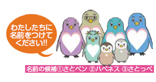 「わたしたちに名前をつけてください!! 名前の候補①さとペン ②ハペネス ③さとっペ