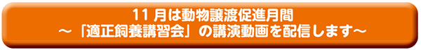 11月は動物譲渡推進月間〜「適正飼養講習会」の講演動画を配信します〜