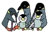 福祉保健213号イメージ