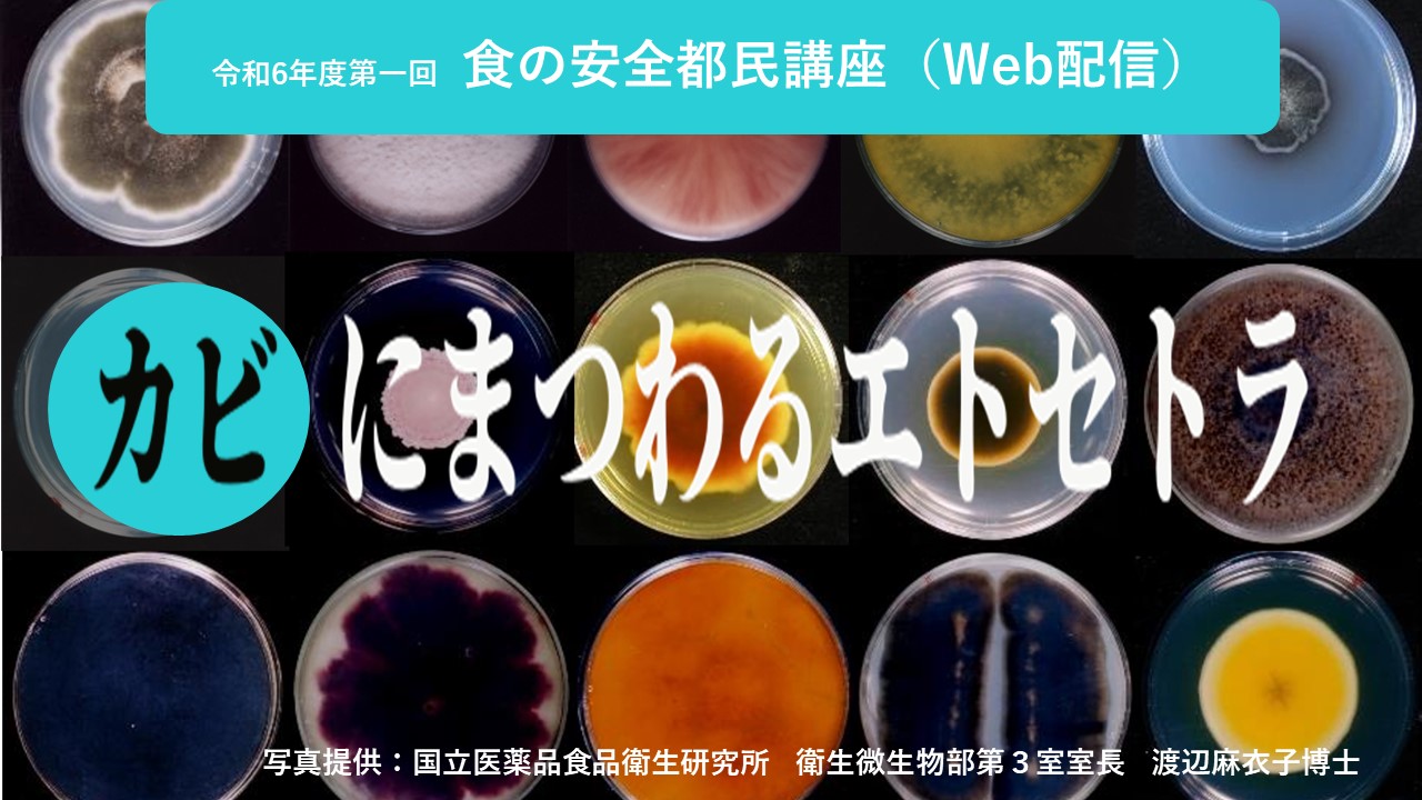 「カビにまつわるエトセトラ」配信中!