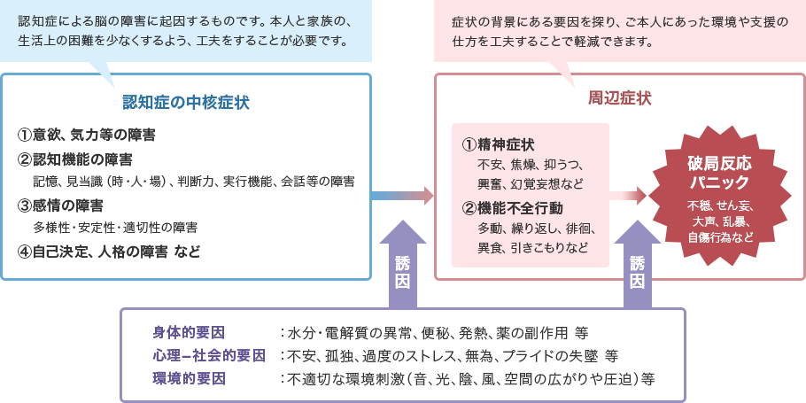認知症による脳の障害に起因するものです。本人と家族の、生活上の困難を少なくするよう、工夫をすることが必要です。［認知症の中核症状…(1)意欲、気力等の障害／(2)認知機能の障害「記憶、見当識（時・人・場）、判断力、実行機能、会話等の障害」／(3)感情の障害「多様性・安定性・適切性の障害」／(4)自己決定、人格の障害 など→周辺症状…(1)精神症状「不安 焦燥 抑うつ 興奮 幻覚妄想 など」／(2)機能不全行動「多動 繰り返し 徘徊 異食 引きこもり など」→破局反応…不穏 せん妄 大声 乱暴 自傷行為 など］症状の背景にある要因を探り、ご本人にあった環境や支援の仕方を工夫することで軽減できます。［認知症の中核症状…(1)意欲、気力等の障害／(2)認知機能の障害「記憶、見当識（時・人・場）、判断力、実行機能、 会話等の障害」／(3)感情の障害「多様性・安定性・適切性の障害」／(4)自己決定、人格の障害 など→周辺症状…(1)精神症状「不安 焦燥 抑うつ 興奮 幻覚妄想 など」／(2)機能不全行動「多動 繰り返し 徘徊 異食 引きこもり など」→破局反応…不穏 せん妄 大声 乱暴 自傷行為 など］
