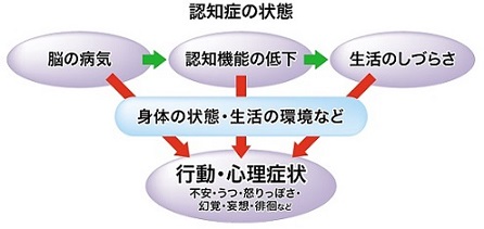 認知症の状態：脳の病気・認知症の低下・生活のしづらさ→身体の状態・生活の環境など→行動・心理症状（不安・うつ・怒りっぽさ・幻覚・妄想・徘徊など）